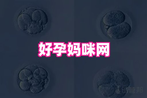 试管助孕网站 3